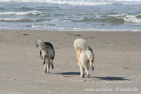 (Foto Goslar)_daenemark_2010_IMG_0920_Loekken_Strand.jpg